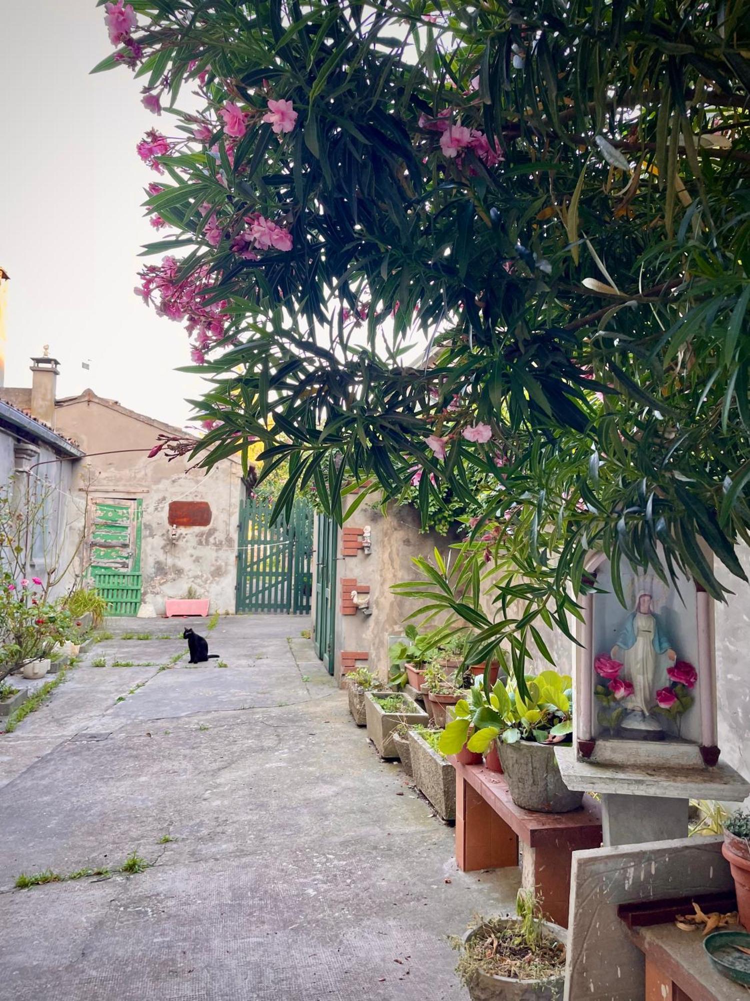 L'Encanto De Luna -Una Casa Autentica Comacchiese Comacchio Εξωτερικό φωτογραφία